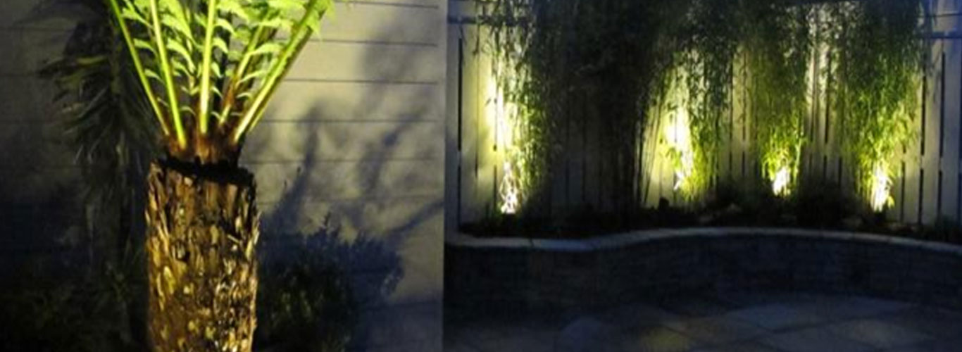 LED Garden Lights