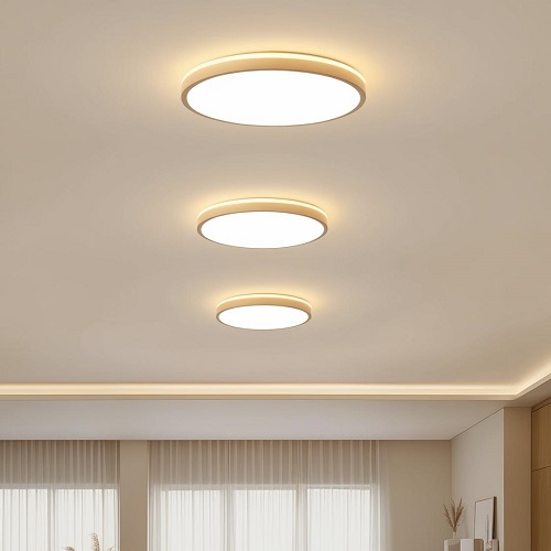 Led Ceiling Lights 