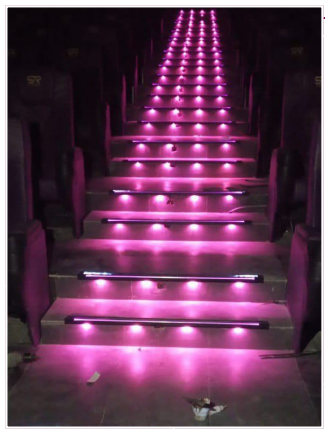 Regular Model Steplight