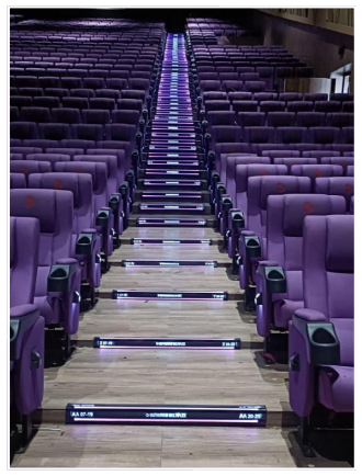 Dual Line Premium Steplight
