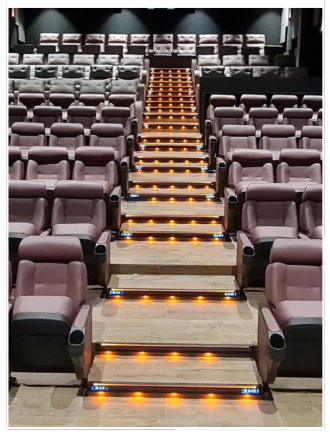 Front Mount Steplight